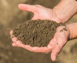 Грунт для газона с доставкой минск